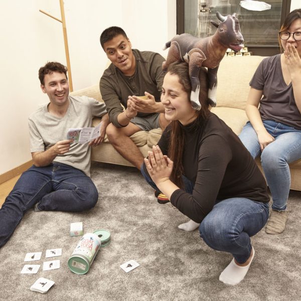 Парти игра "Йога с коза"