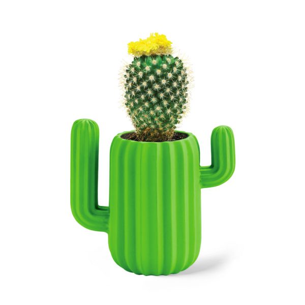 Магнитна поставка Cactus